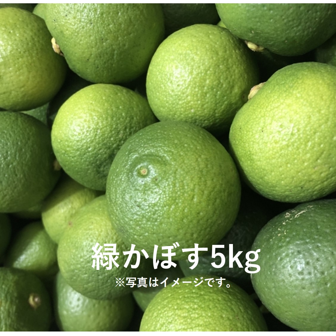 浜松市浜北産 緑かぼす5kg